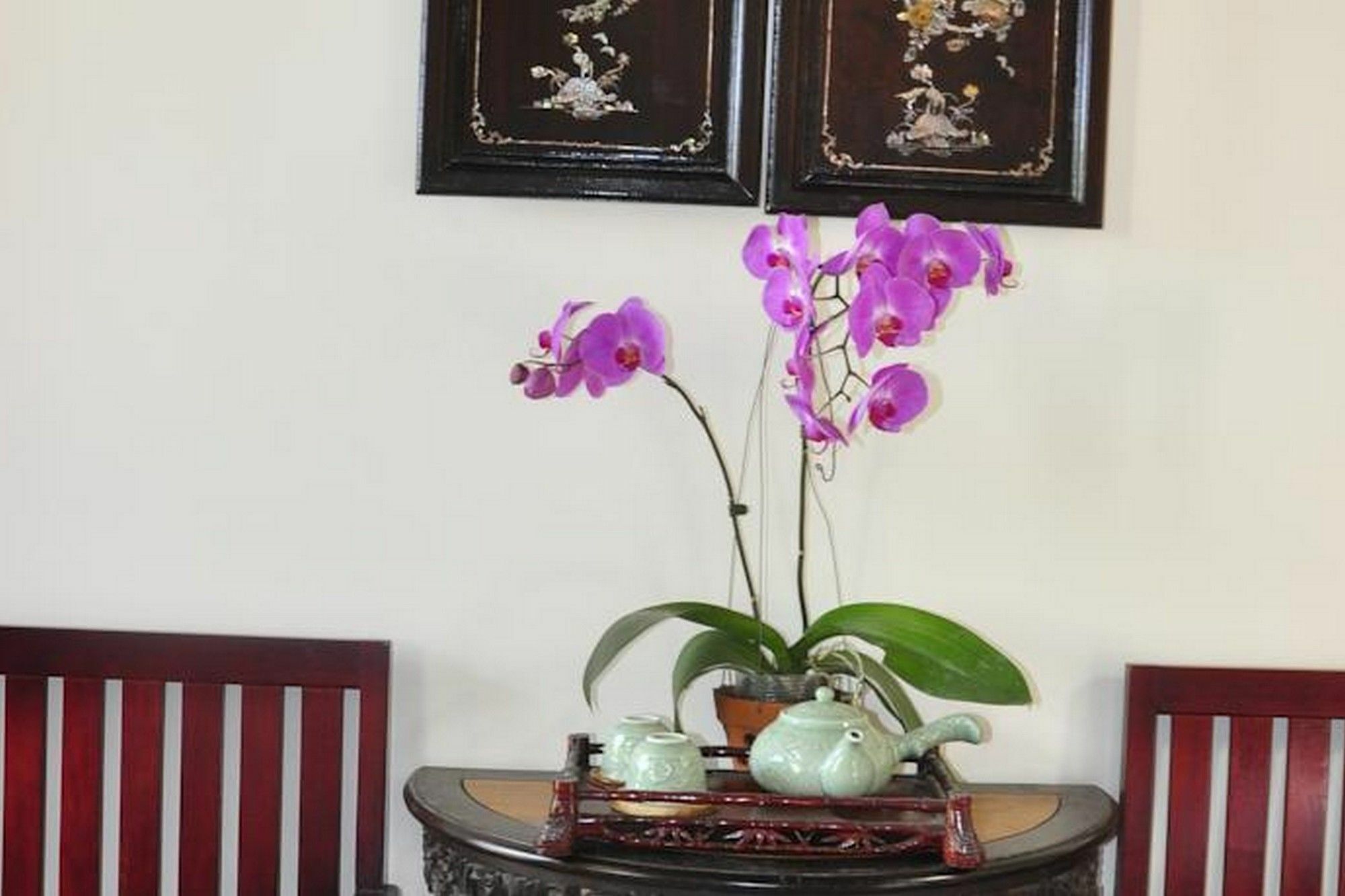 Bonsai Villa Hoi An Exterior foto